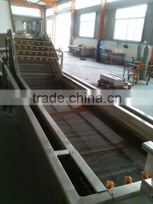 Pomegranate arils processing machine
