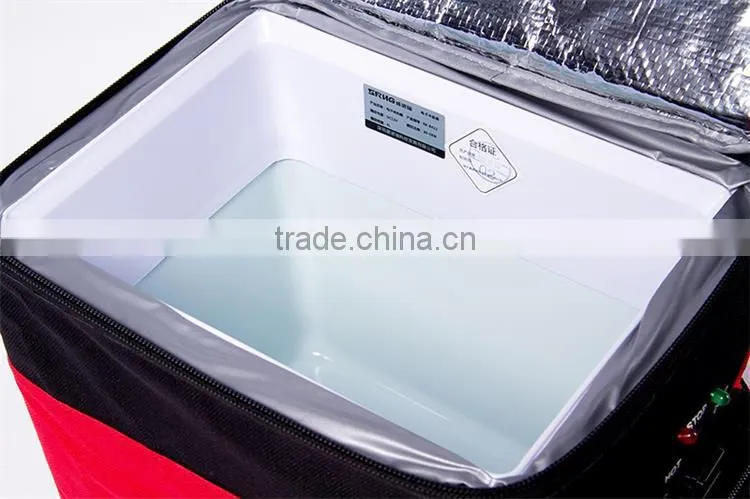 Portable outdoor holiday mini car refrigerator