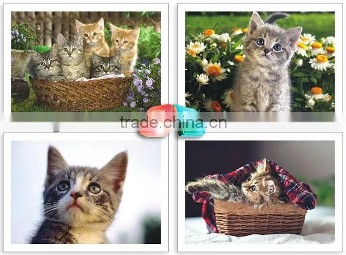 Premiums 3d lenticular postcards of cartoon charactor