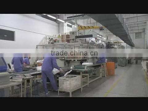 Chiaus (Fujian) Industrial Development Co., Ltd. company overview - view 1