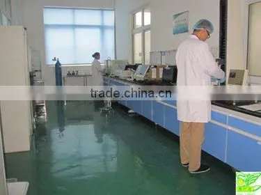 Wholesale price packaging bag supplier for coffee packaging in the market