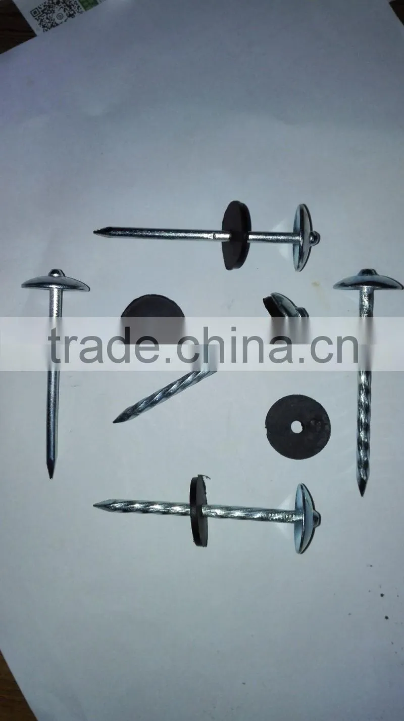Galvanized Roofing NAILS ( 2 -1/2" x 9mm ) with plastic washer Boa sorte Trade ssurance sinolink