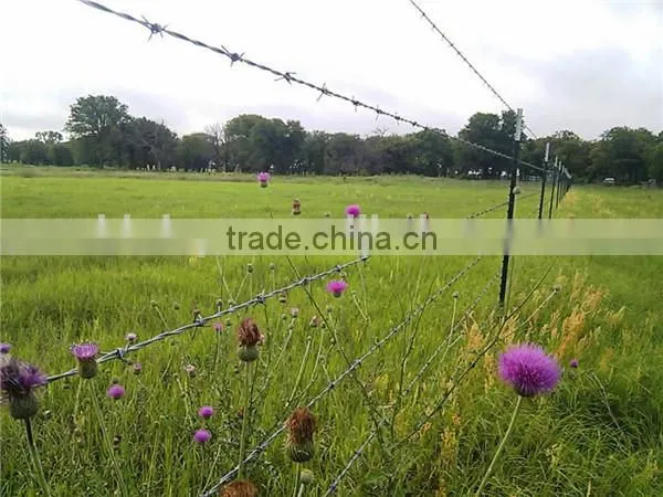 Barbed Wire Machine For National Defense