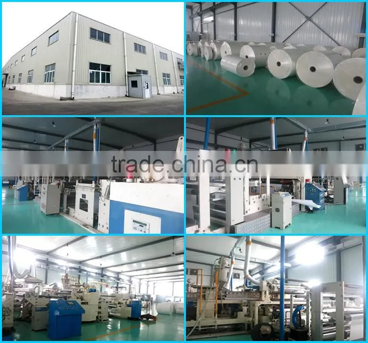 disposable paper cup paper