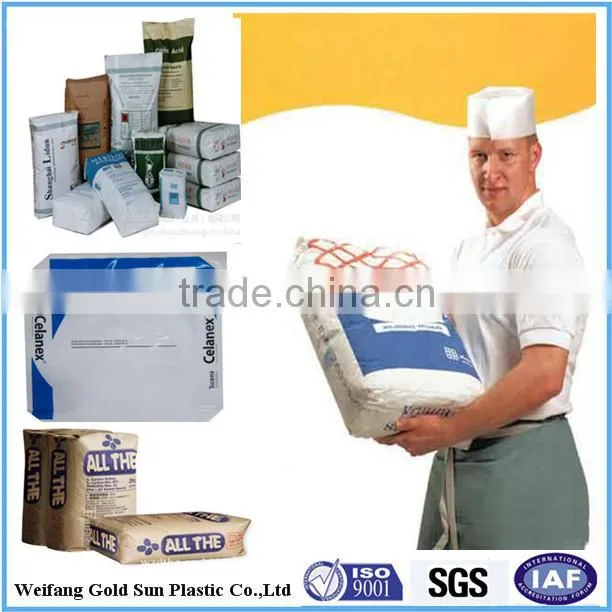 Plastic Valve Bags/Bag on Valve/PE Valve Bag