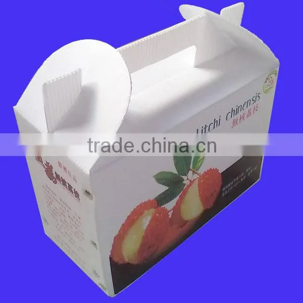 High quality PP Hollow/corrugated Sheet box/case