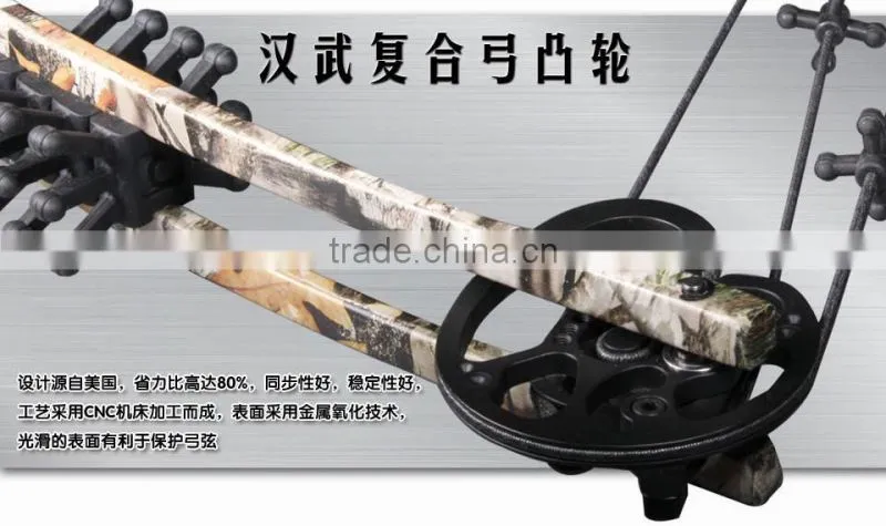 China Hot Sale Compound Bow 170