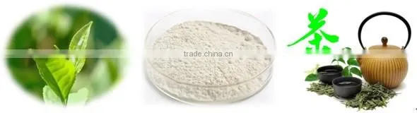 T-full EGCG / Epigallocatechin Gallate 70-95%