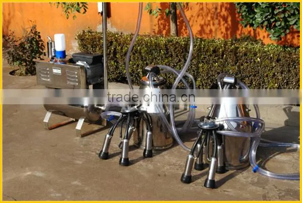 KLN pipeline milking machine group