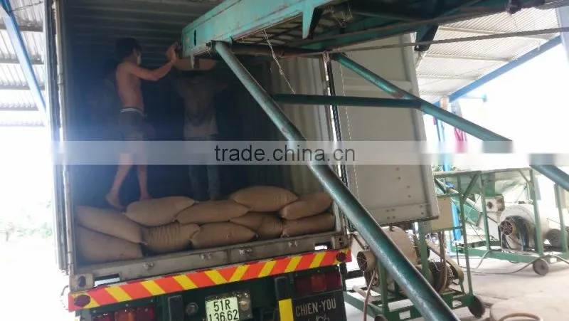 ARABICA GREEN COFFEE BEANS- High quality