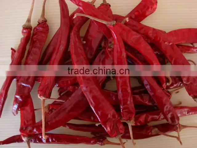 2012 hot dried chilli