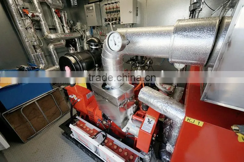 CH4 Gas Generator Plant 24KW-1000KW