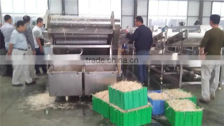 hot sale vegetable bubble washing machine/bean sprout washer machine/bean washing machine