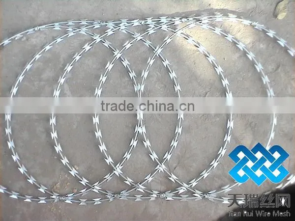 High quality galvanized razor wire with clips