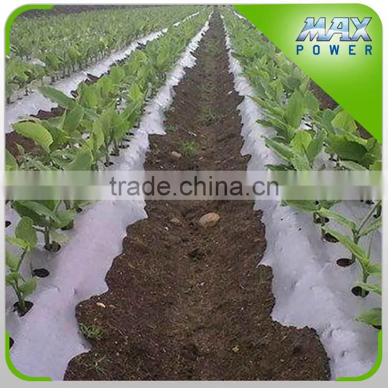 PE Mulch Film 2 Layers