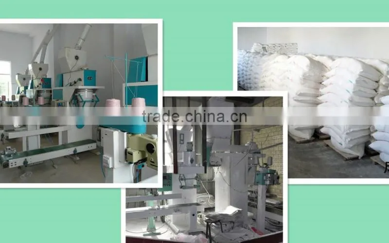 100TPD grain wheat flour milling machine with price