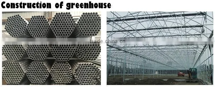 high quality geodesic dome greenhouse for sale