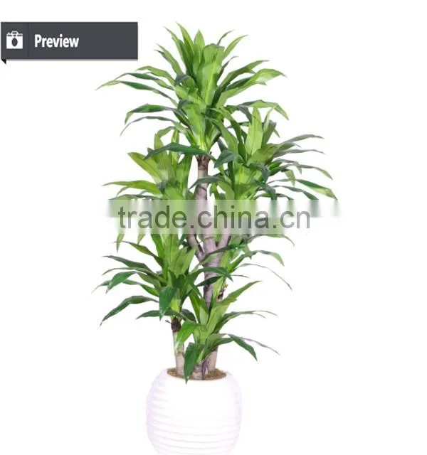 Best selling items large plastic ficus bonsai tree for outdoor decoration