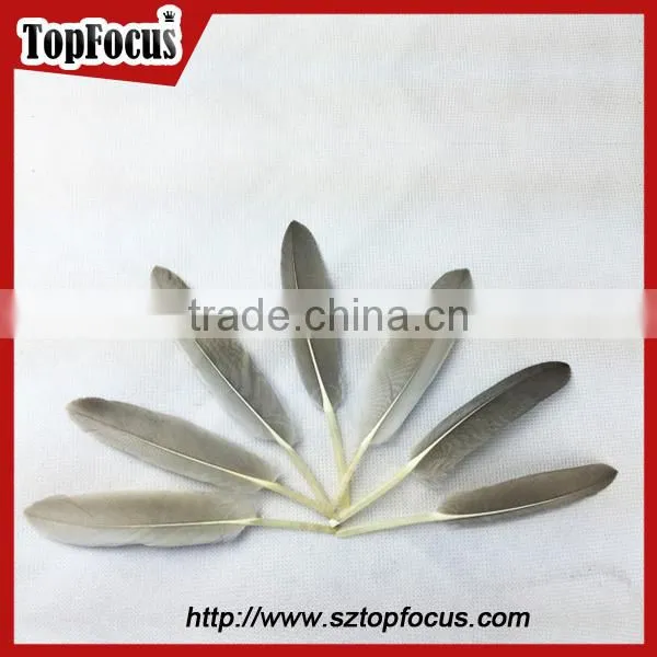 cheap colorf cleaning goose artificial feathers for DIY sale cheap