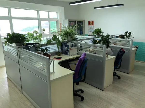 Jinan Gogo International Trade Co.,ltd company overview - view 2