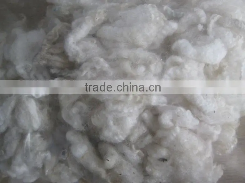 Tannery factory Scoured Australia wool