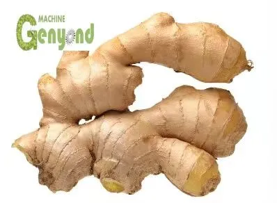 Ginger Juice Processing Line, Ginger Beater, Ginger Tea Ginger Powder Processing Line Ginger Peeler