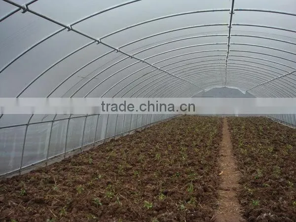Galvanized Structure Low Tunnel Greenhouse