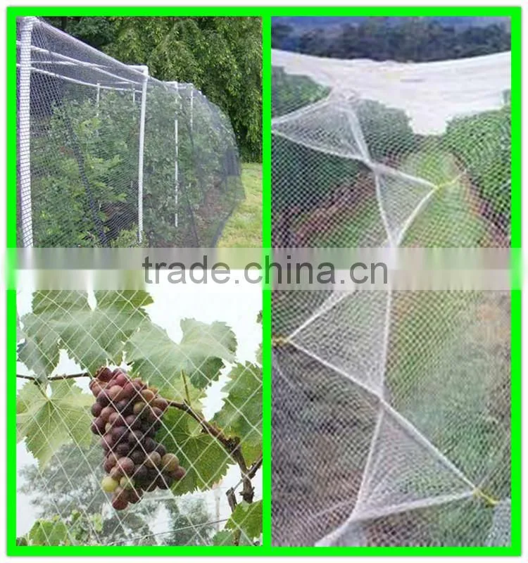 China manufacturer supply various woven hail protection mesh/anti hail structure netting/agriculture hail proof net