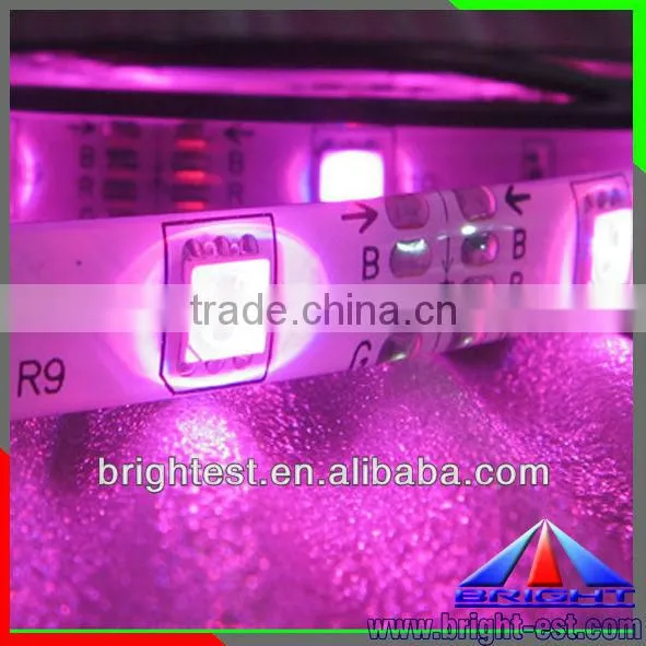 Pink color, double Row LED Strip LED strip. LED Flexible Strip Light