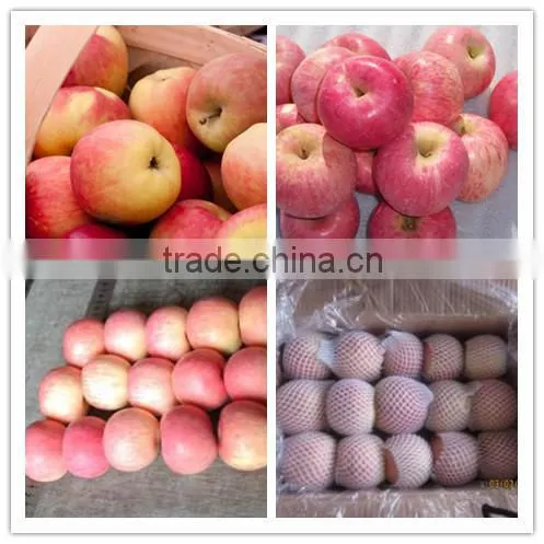 2015 Chinese Fresh sweet fuji apple with good quality