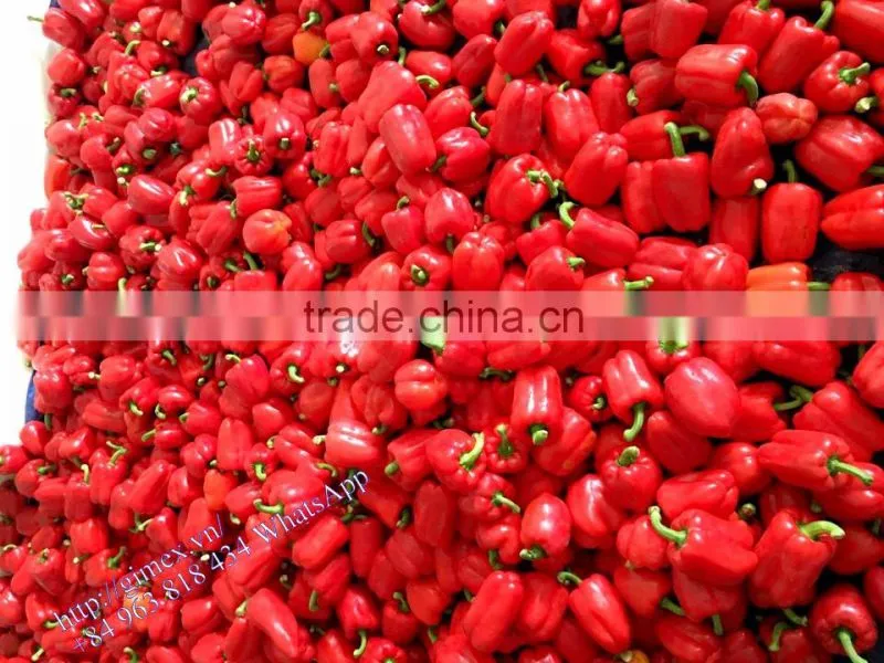 FRESH SWEET BELL PEPPER
