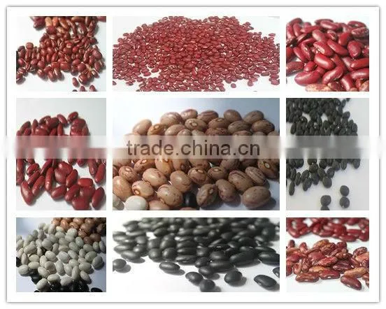 ADZUKI BEAN