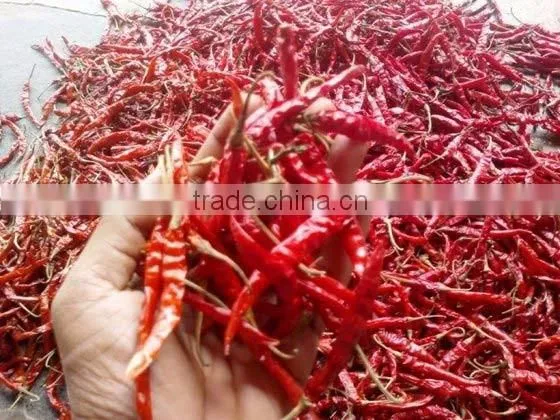 Premium Quality Indian Dry Red Chilli Exporters
