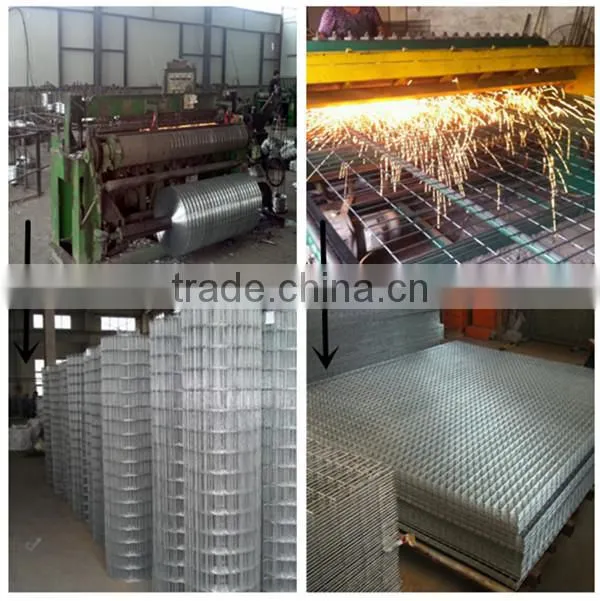 Galvanised Welded Mesh Wire 20m Rabbit Hutch Dog Run Fence panel