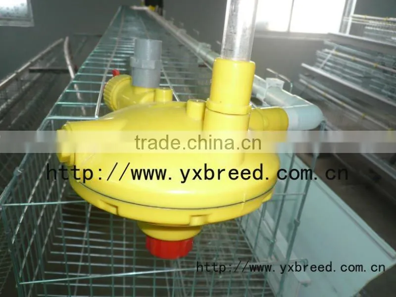 sheds for poultry farm in automatic operation