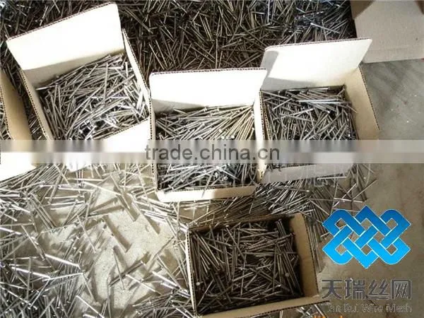 common wire nail/polished common nail/bright common nail