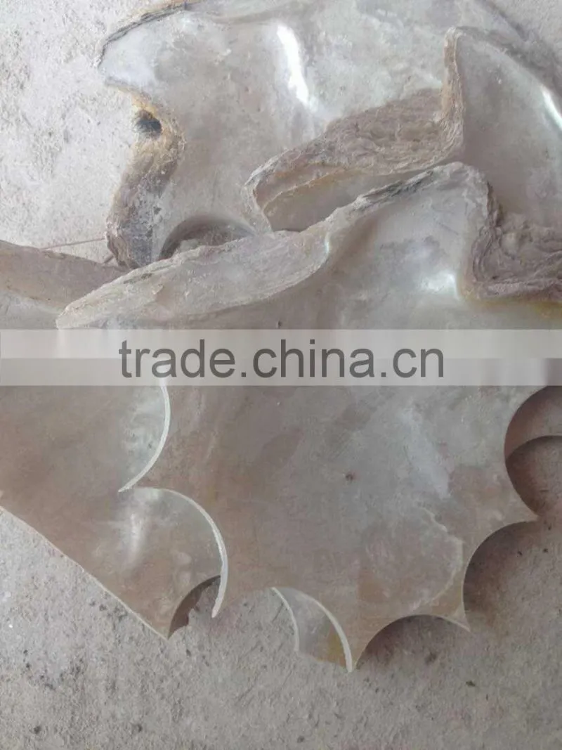 headpart mop shell seashell scrap