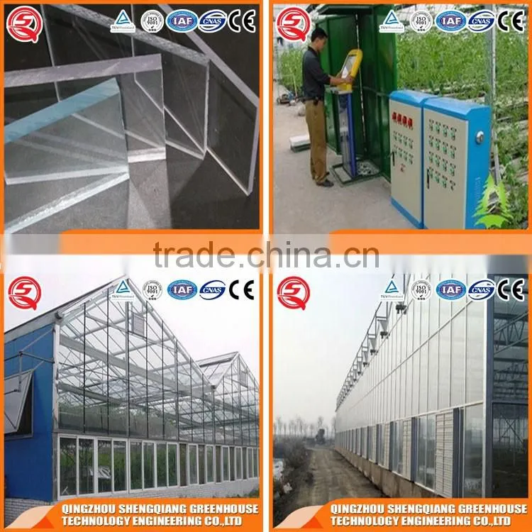 Factory outlet large Multi-span glass agricultural Greenhouses for vegetables,flowers and fruits