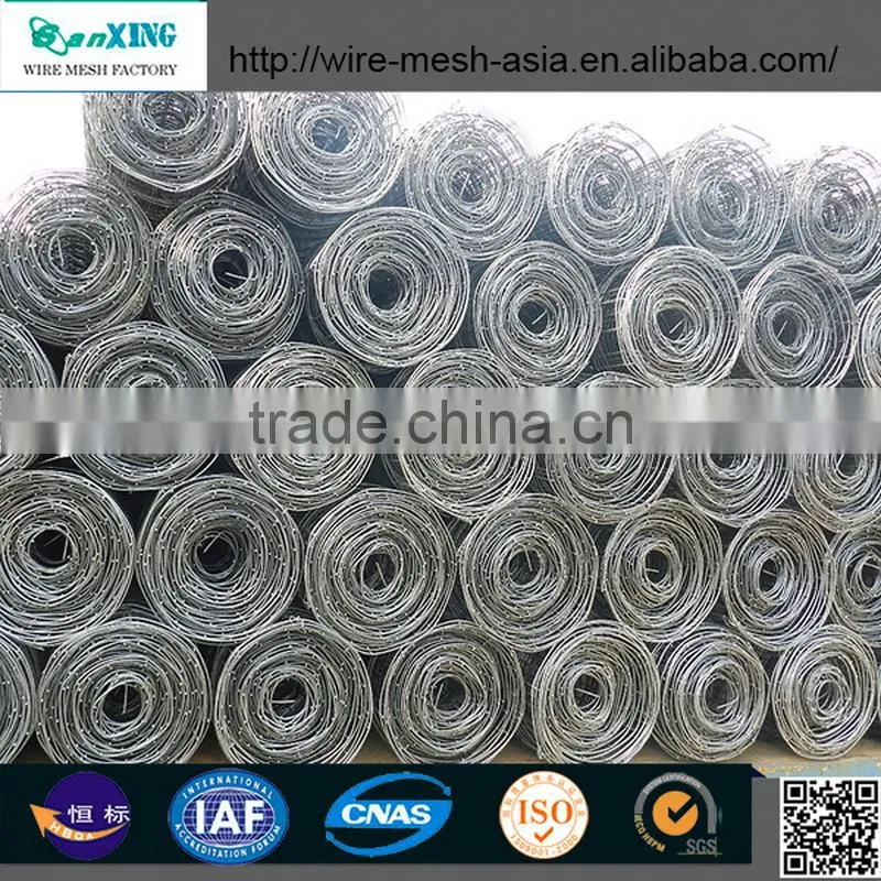 Italian big Lowes galvanized cattle panels livestock fence