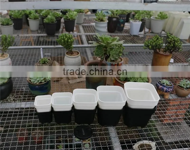 Plastic Colorful More Thickness Square Flower Pot