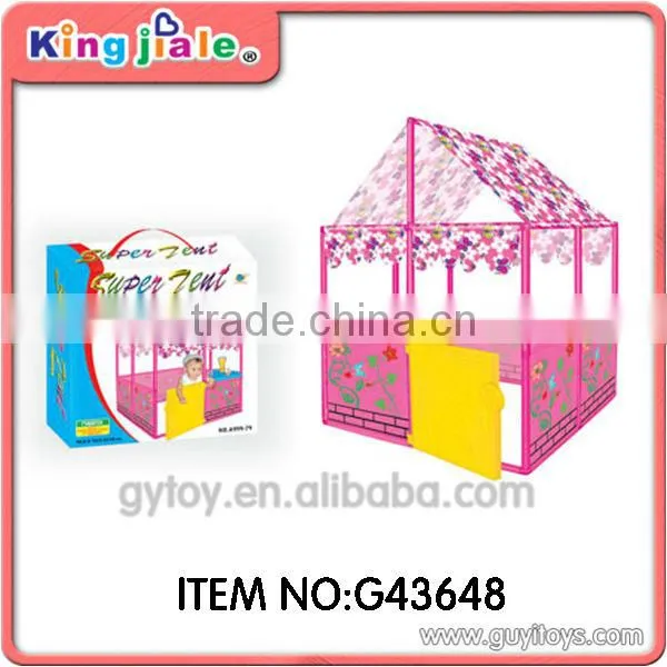 mouse kids animal playing tent