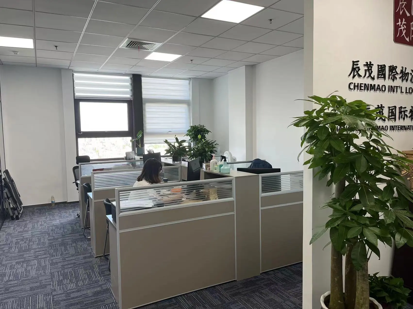 Jiangsu Chenmao International Logistics Co., Ltd company overview - view 2