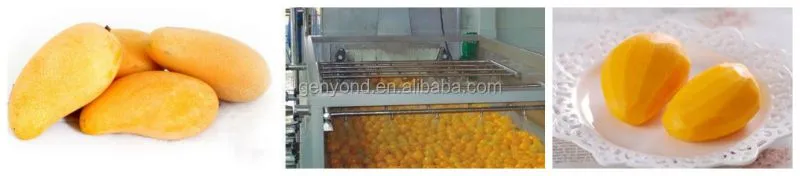 Fully Automatic Fresh mango Processing Machine for Puree Juice