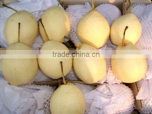 fresh Su pear