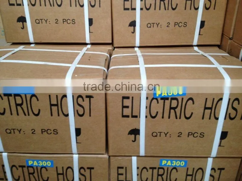 electric hoist crane 250kg