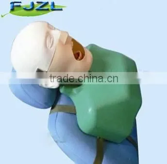 dental manikin phantom head/Dental Training Head Simulator Manikin with Torso for student