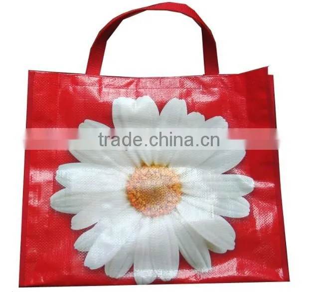 Factory Cheap Price China PP Woven Bag