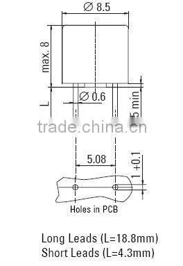 250V small fuse