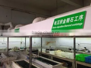 Shenzhen Dian Fong Abrasives Co., Ltd. company overview - view 1