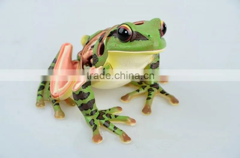 V-AM058 4D MASTER Frog specimen anatomical model